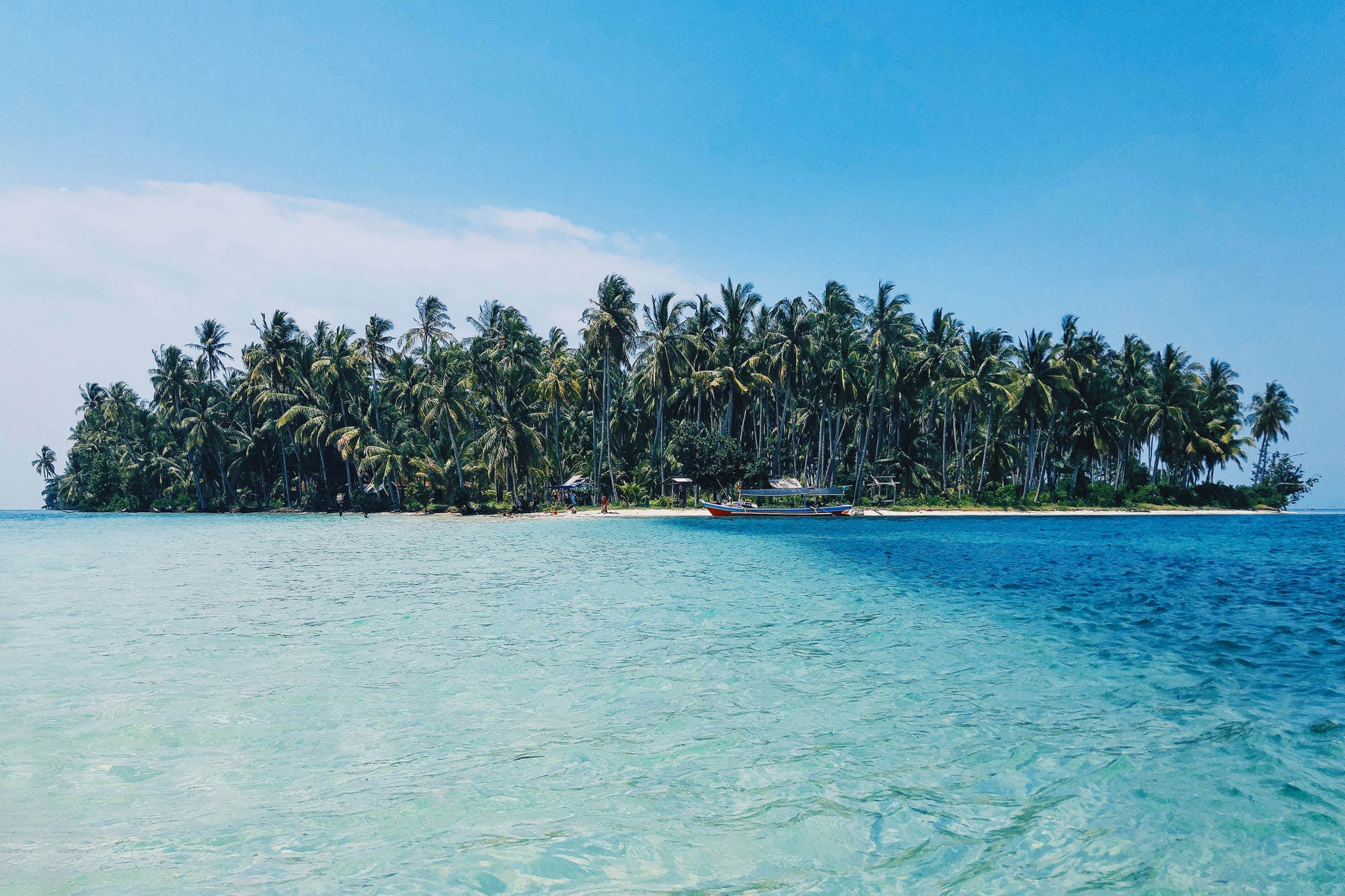 gut versorgt auf reisen bild palmen insel
