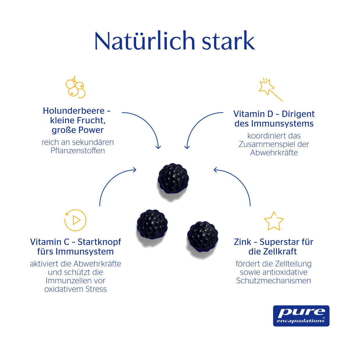 Immun Gummies von Pure Encapsulations und seine Funktionen aufs Immunsystem