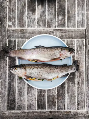 Zwei Fische auf einem Teller
