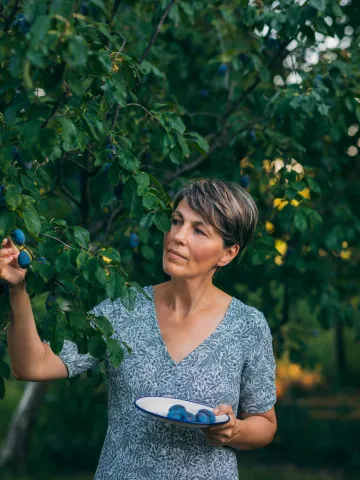 Frau pflückt Beeren