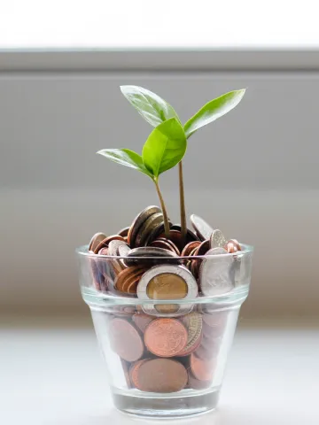 Münzen in einer Vase mit grünen Blättern