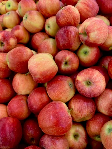 pierpaolo riondato unsplash Äpfel rot Obst Herbst Hintergrund Muster bildfüllend