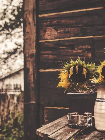 Sonnenblumen in einer Vase