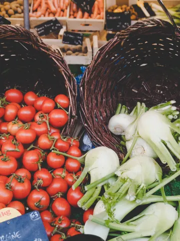 Tomaten und Fenchel