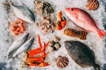 Meeresfrüchte und Fisch auf Eis