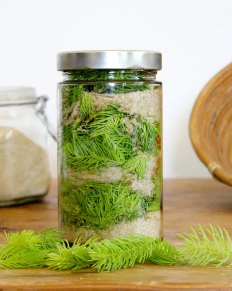 Grüner Maiwipferl-Sirup in einem Glas