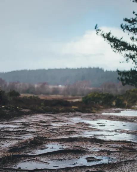 Frau mit roter Jacke geht im Regen