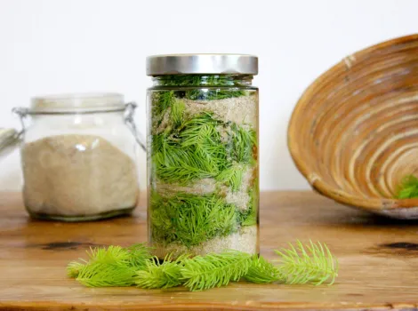 Grüner Maiwipferl-Sirup in einem Glas