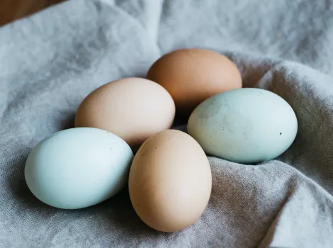 Eier auf einem Tuch