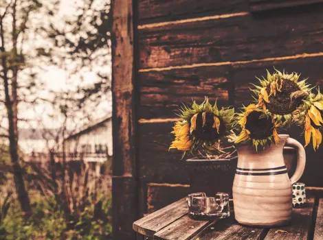 Sonneblumen in einer Vase im Freien