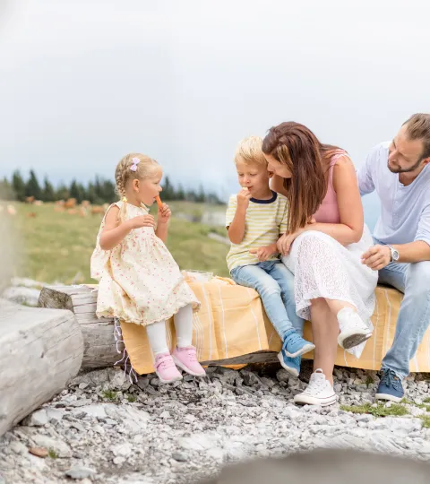 Familie beim Picknick