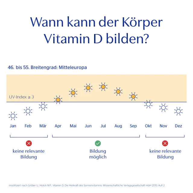 Spezialgrafik zur Vitamin D Bildung