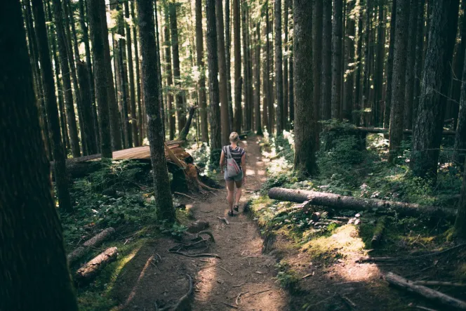 Frau spaziert mit Rucksack durch Wald