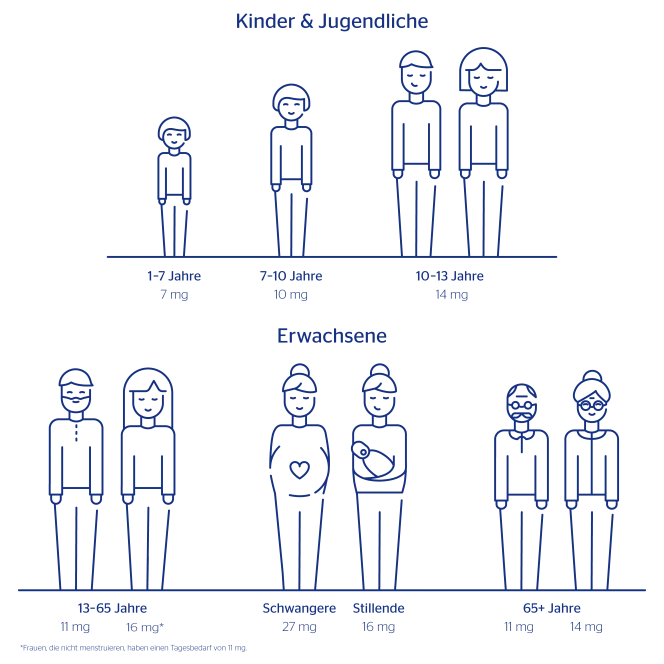 Infografik Eisenbedarf Alter Steckbrief-Grafik Blog-Grafik Steckbrief Eisen Kinder Jugendliche Erwachsene Schwangere Stillende 50+ 220831
