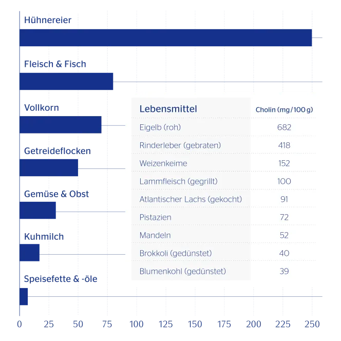 PE Website PillarPage Cholin Gehalt Gehalt in Lebensmitteln Cholin in Lebensmitteln Cholin-Gehalt blau grau