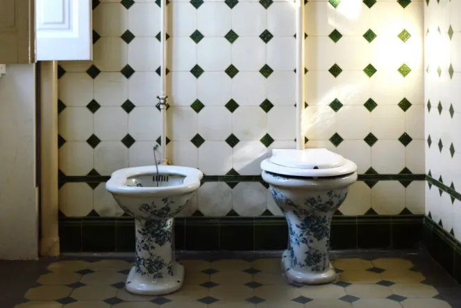 Zwei Toiletten mit Blumenmuster
