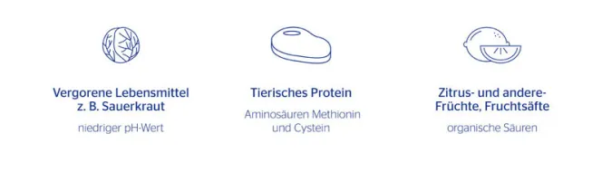 Grafik mit Lebensmittel die Eisenaufnahme fördern
