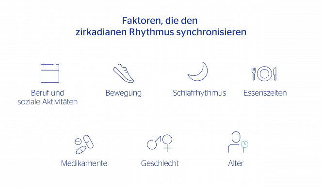 Faktoren, die den zirkadianen Rhythmus synchronisieren