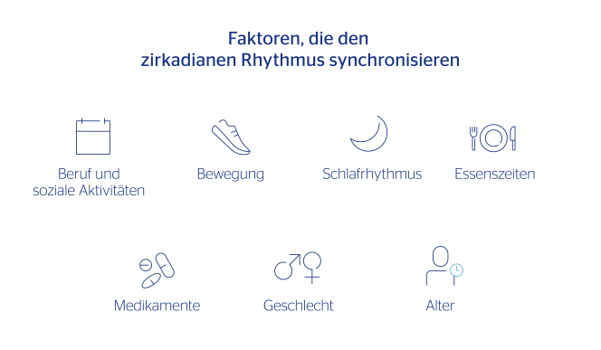 Faktoren, die den zirkadianen Rhythmus synchronisieren