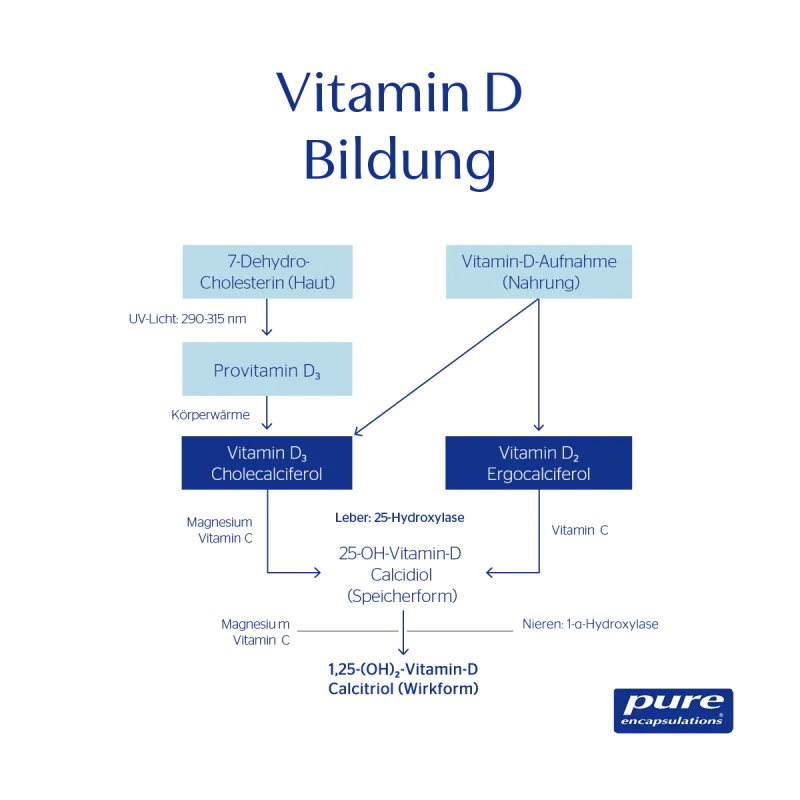 Produktabbildung VDLA