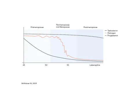 Grafik zur Menopause