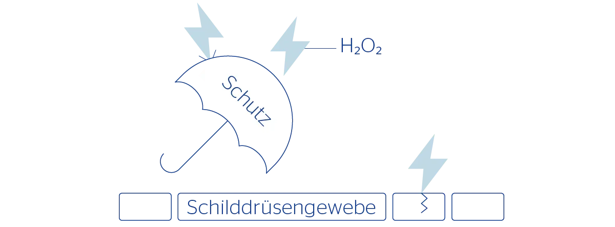 Grafik mit Selen als Schutz