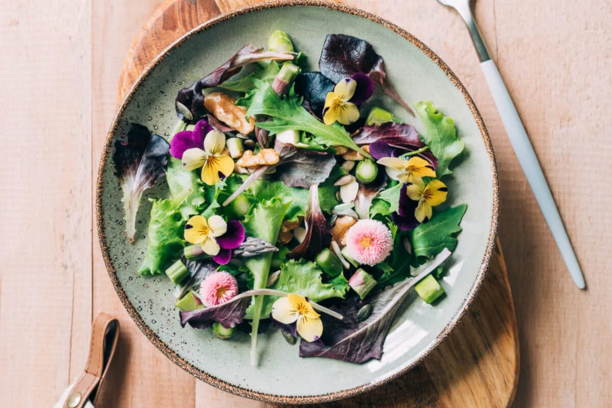 Bunter Salat mit Blüten auf einem Teller