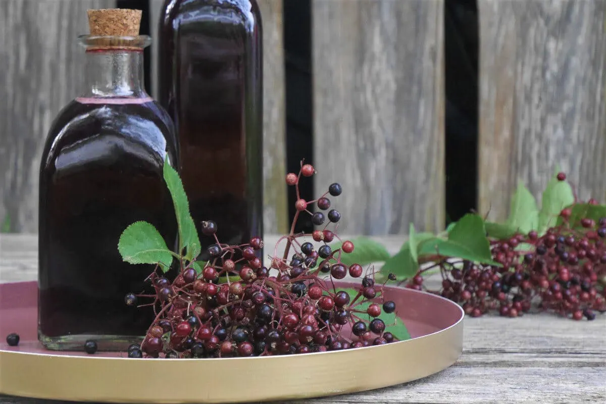 Holunderbeerensaft und Holunderbeeren