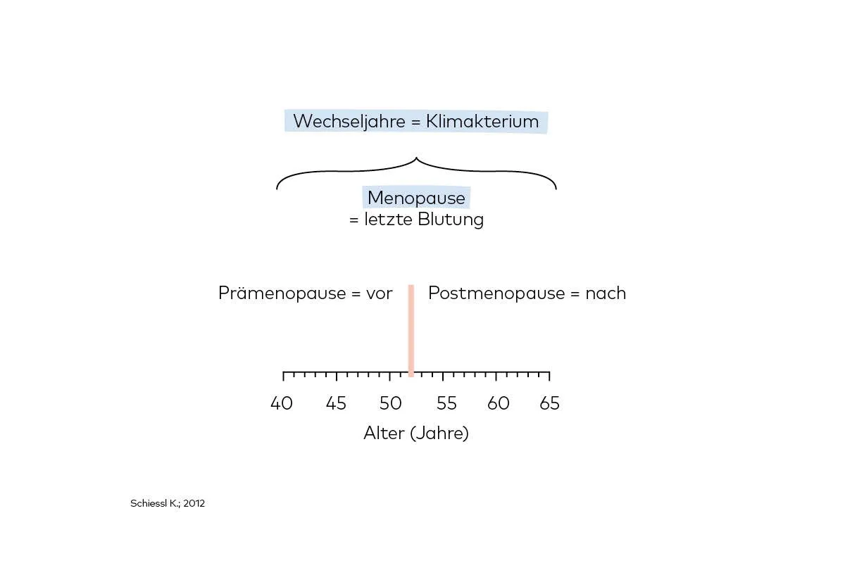 Grafik zu Wechseljahre und Menopause