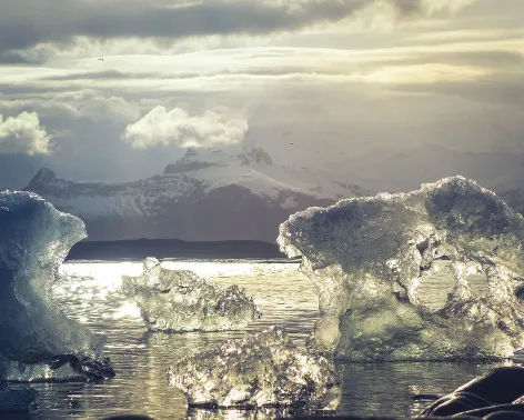 eisberge im meer