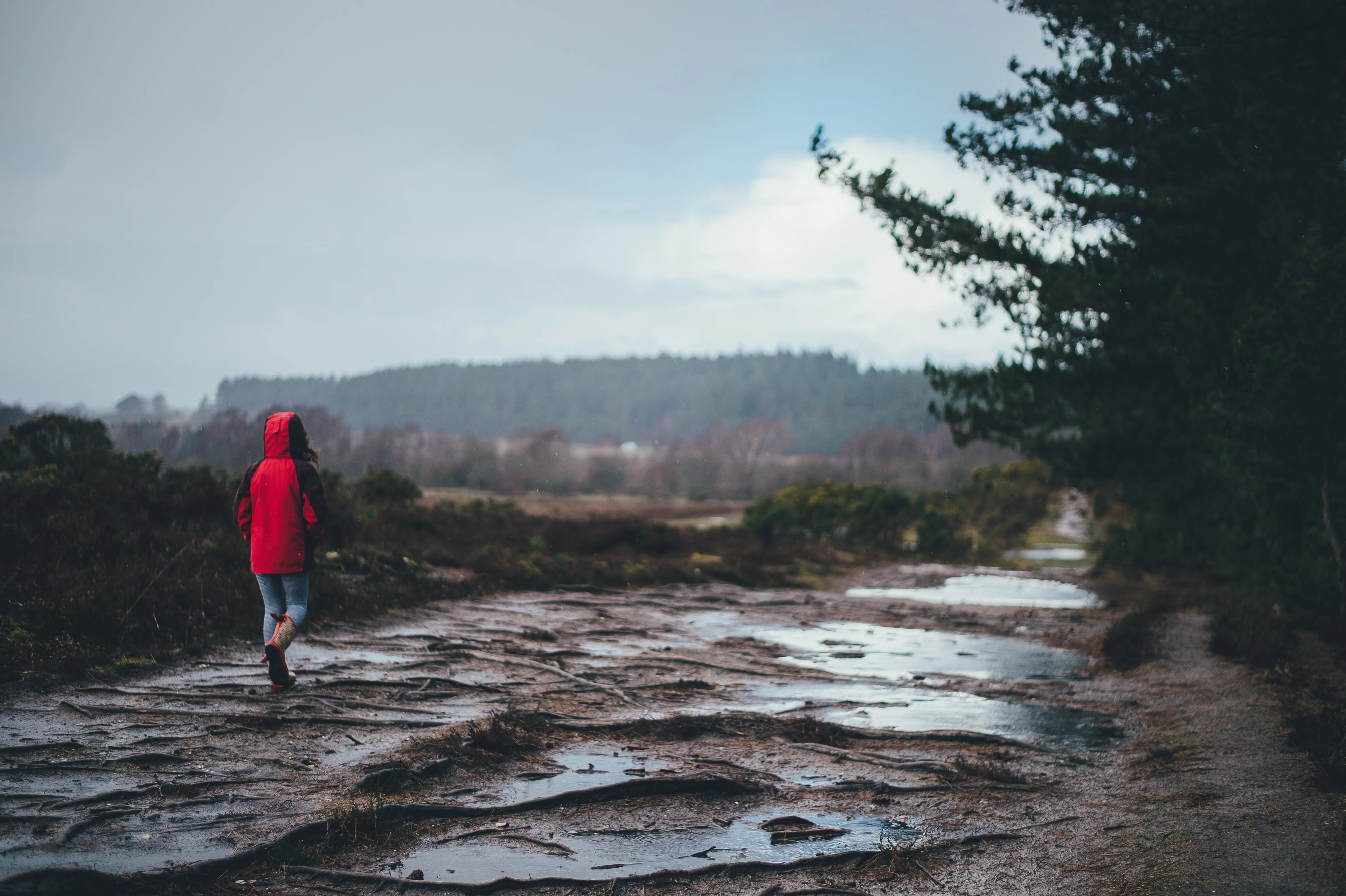 Frau mit roter Jacke geht im Regen