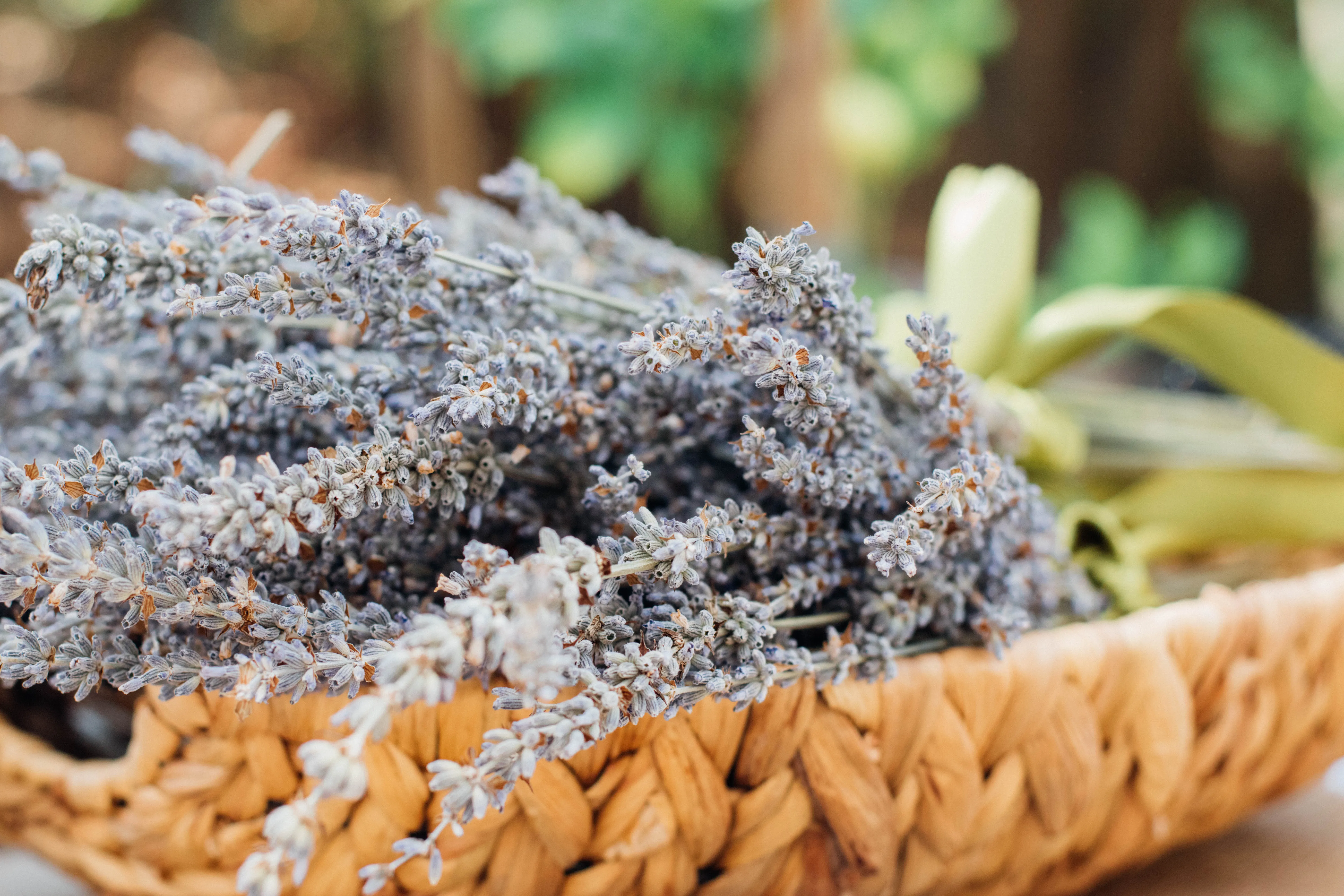 Lavendel in einem Korb