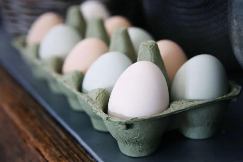Eier in einem Eierkarton