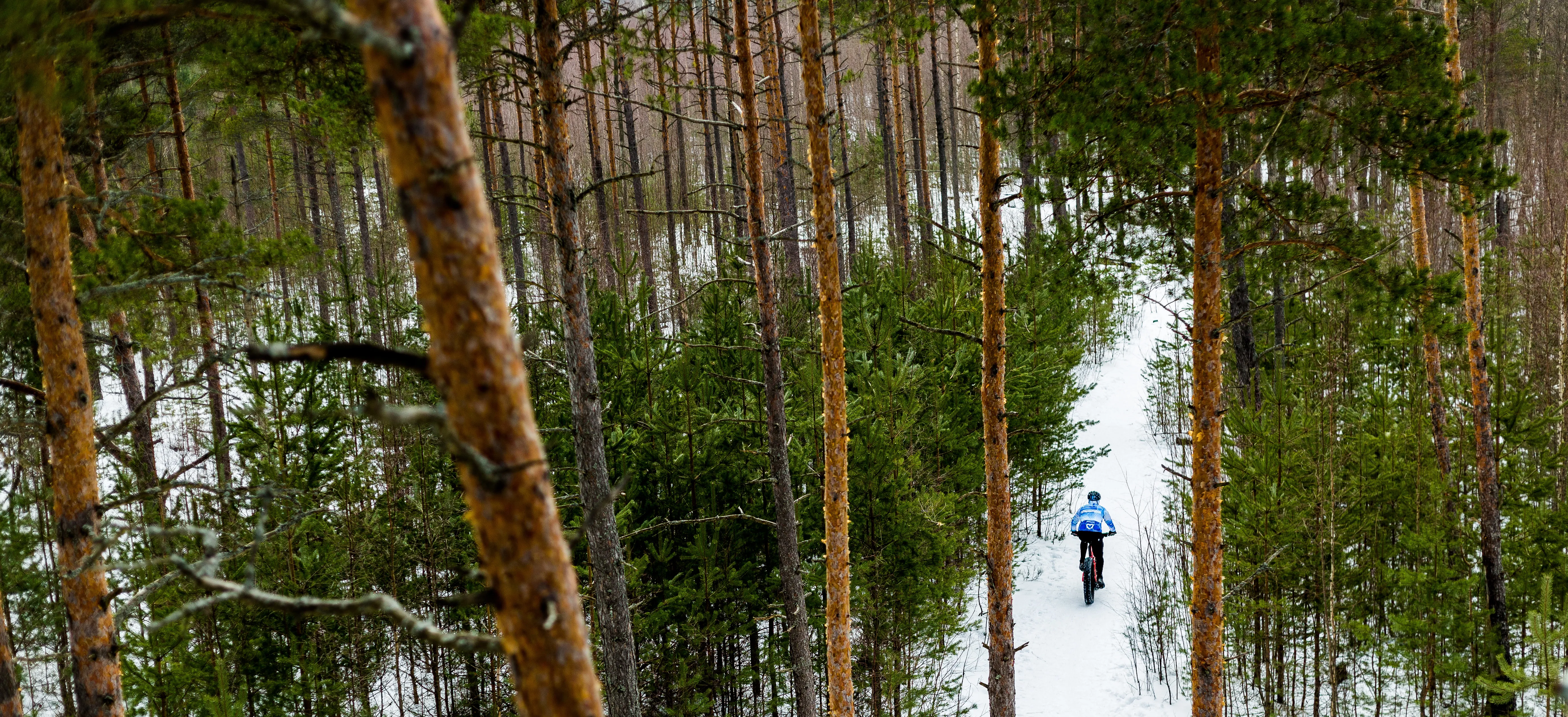 Radfahrerfährt im Schnee durch einen Wald